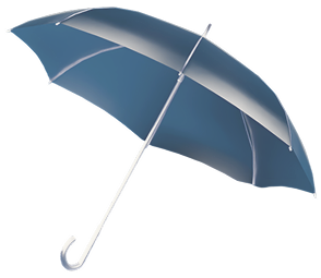 Insurance illustration